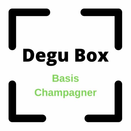 Degu Box Basis